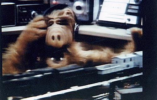 is Alf a Ham ? (sea the TS-700 in the background)